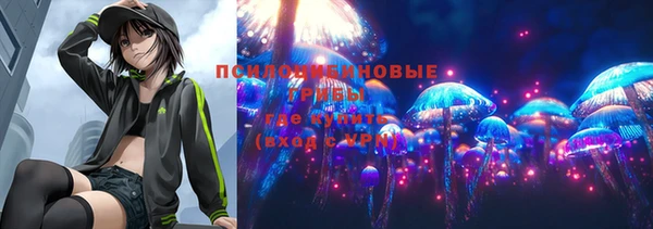 дмт Саяногорск