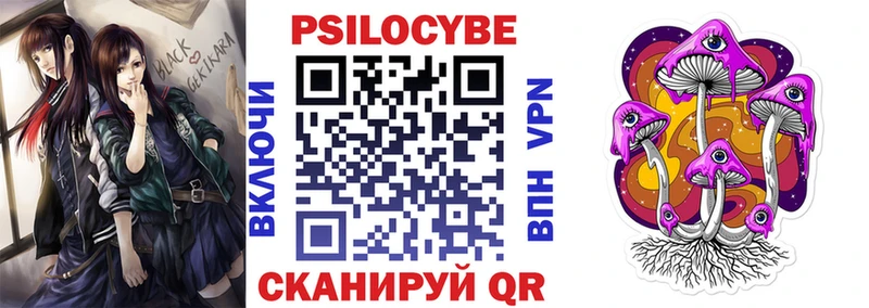 Псилоцибиновые грибы Psilocybe  Купить где  Мезень 